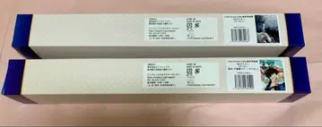 [익명 배송] FGO 최종 재림전 B2 포스터 오베론 2세트