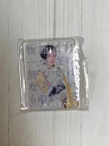 킹오브 파워레인저 FLT 왕의 말 마그넷 제라미