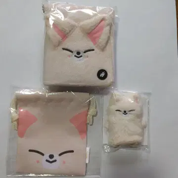 Straykids 사진 카드 케이스 외 총 3점 아이엔 폭시니