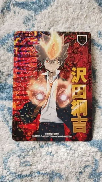 가정교사 히트맨 REBORN! CCG 사와다 츠나요시