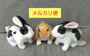 치유 토끼 포와포와 봉제 인형 3개