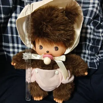 베비치치 L 사이즈