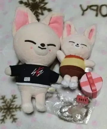 skzoo 폭시니 마스코트 봉제 인형 빵실한 벌스데이 반지