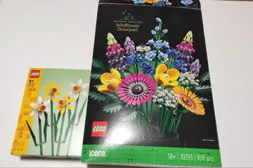 LEGO 와일드플라워 부케 939 피스