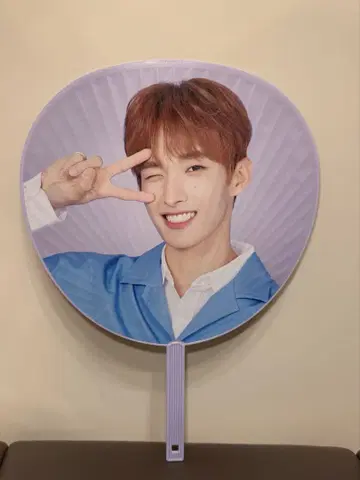 SEVENTEEN 도겸 부채