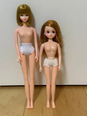 리카짱 캐슬 커스텀리카짱 커스텀 시온