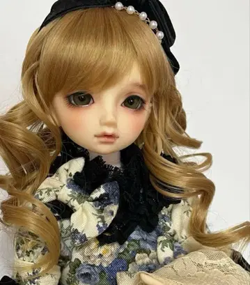 sdm 노아 페어 피부 보크스 volks 슈퍼돌피