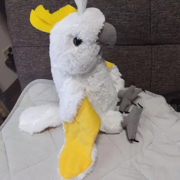 키바탄 봉제 인형 앵무새 새 리얼