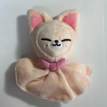 straykids skzoo 폭시니 백참 테루테루보즈