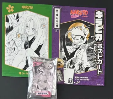 NARUTO 중국 한정판 점프샵 사쿠라