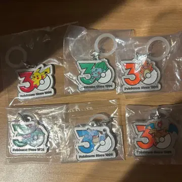 포켓몬 30주년 기념 메탈 키링 6종 세트 세미 컴프