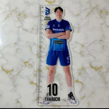 파나소닉 팬서스 오사카 브레이브스 야마우치 아키히로 아크릴 눈금자