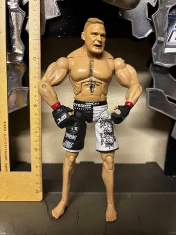 브록 레스너 UFC 잭 블록 레스너