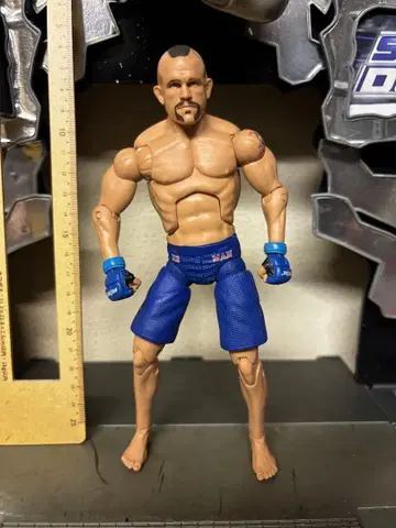 UFC 척 리델