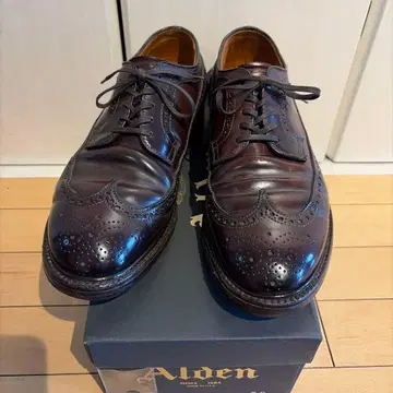 cordovan Alden 윙팁