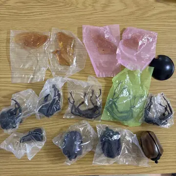 생물대도감 묶음 판매