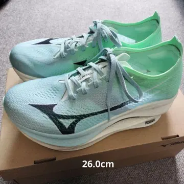 MIZUNO WAVE REBELLION PRO 3 러닝화