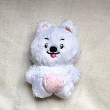더보이즈 에릭 봉제 인형 마스터 트레이딩 카드