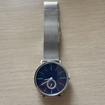스카겐 시계