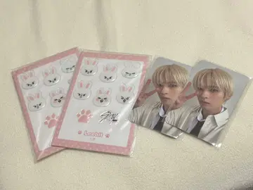 StrayKids SKZOO 퐁 리노