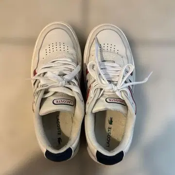 LACOSTE 스니커즈 화이트 레드 네이비