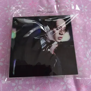 The Brow Beat 아크릴 디오라마 B 2025