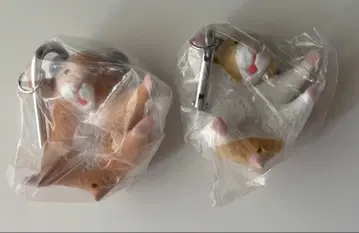교수형 햄스터 킨쿠마, 골든