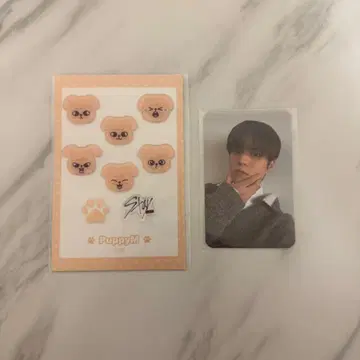 Stray Kids 복권 PuppyM 승민 스티커 트레이딩 카드 세트