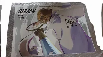 서울 BLEACH전 히라코 포스터