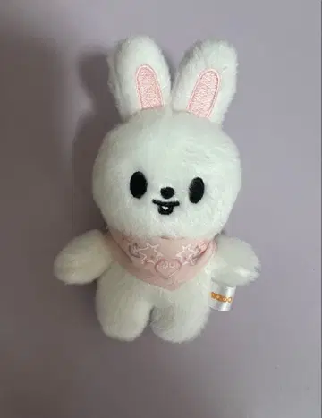 StrayKids 스키즈 10cm 5'CLOCK 리노 리빗