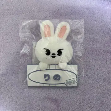 straykids 리노 네임 백참