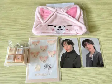 SKZOO 온라인 복권 아이엔 폭시니 세트