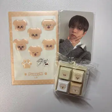Stray Kids 스키즈 skzoo FC 복권 승민 파피무