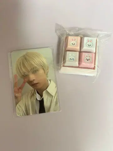 StrayKids 스키즈 온라인 복권 SKZOO 퐁 리노 리빗