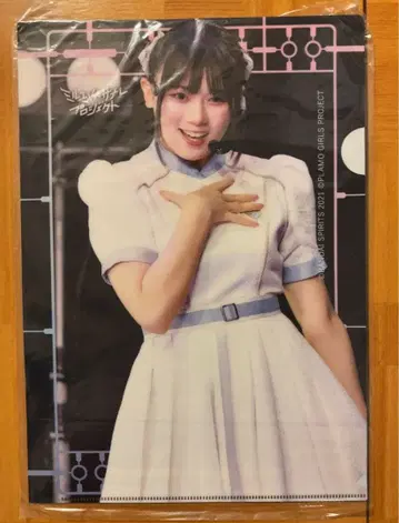 LINKL PLANET 아라이 메이 클리어 파일 디지털 트레이딩 카드