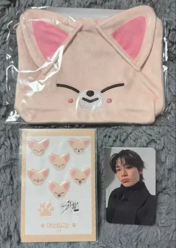 straykids 스키즈 온라인 복권 아이엔 폭시니