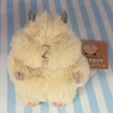 새상품 하무니기리 키나코 햄스터 봉제 인형