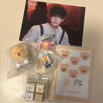 스키즈 PuppyM 승민 묶음 판매