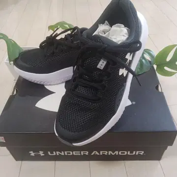 UNDER ARMOUR 스니커즈 24cm