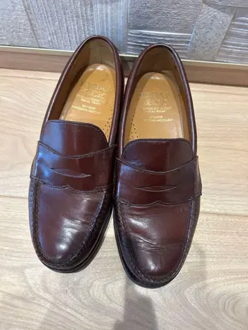 REGAL 로퍼 GEOX 다크 브라운 24cm