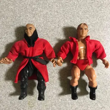 wwe wwf wcw 프로레슬링 피규어 B 라시크 L 즈비스코 awa