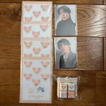 Stray Kids 스키즈 SKZOO 온라인 복권 아이엔 폭시니