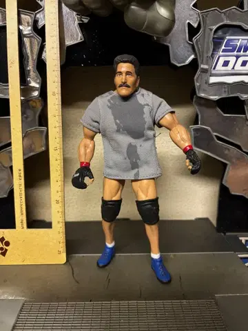UFC 격투기 댄 스버른