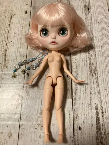 커스텀 아이시 인형