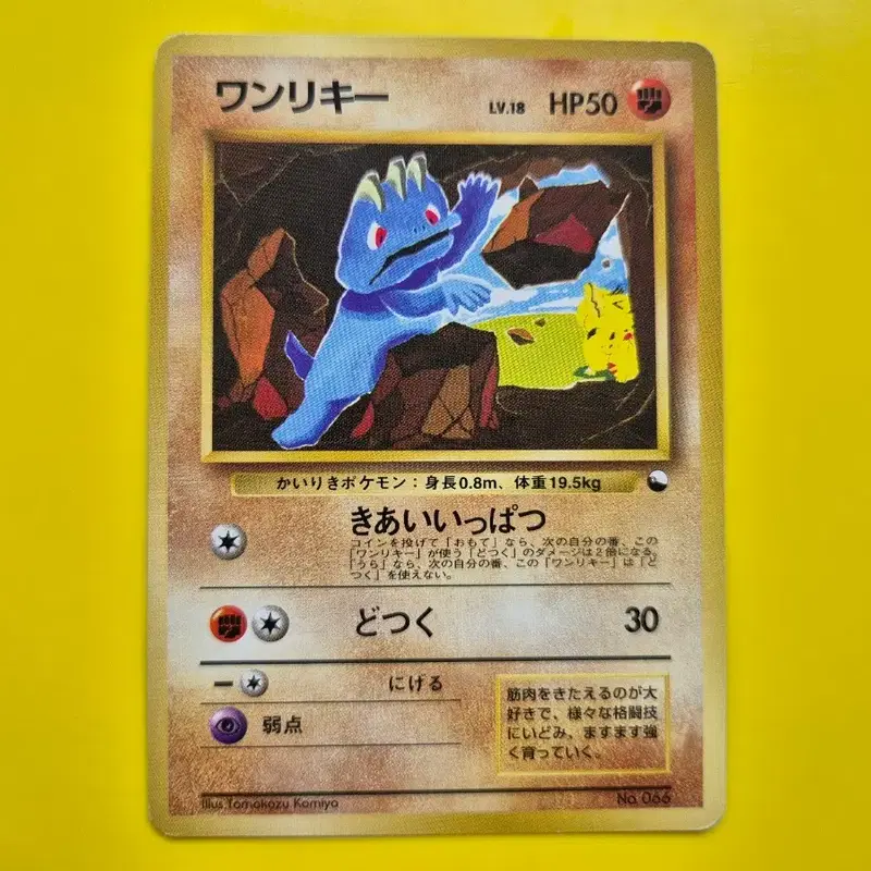 포켓몬카드 1996 극희소 괴력몬 근육몬 알통몬 피카츄 등장 초판 1st 1ed 일판