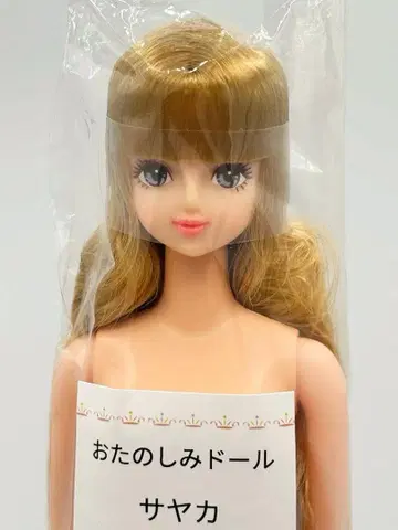 사야카 리카짱 캐슬 오타노시미 인형 금발 계열 제니 프렌드