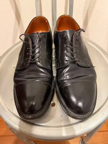 Alden 2161 스트레이트 팁 블랙 6.5 코도반