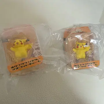 포켓몬 플라라 블리스터 마스코트 참 피카츄 2점 세트