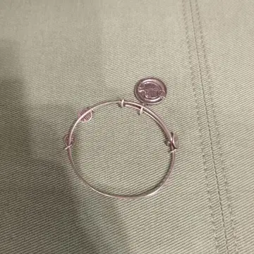 ALEX AND ANI 우로보로스 팔찌