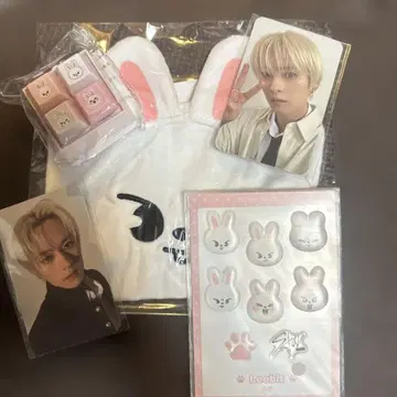 온라인 복권 스키즈 straykids 리노 스키즈 복권 skzoo